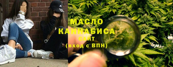 молекула духа Богородск