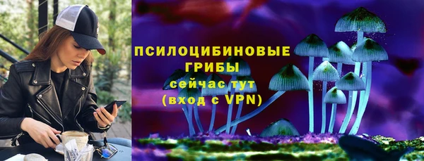 твердый Бронницы